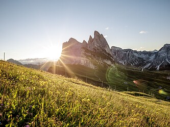 Seceda in den Dolomiten mit blühender Wiese und aufgehender Sonne