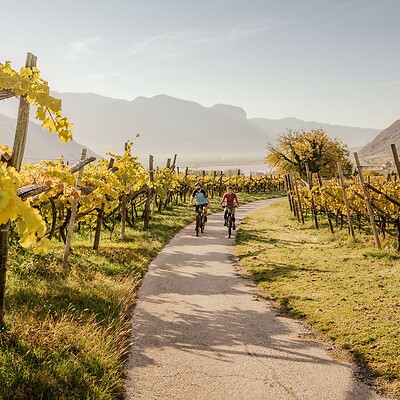 E-biken zwischen Weinreben am Kalterer See