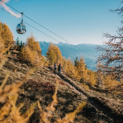 November Glow -25%