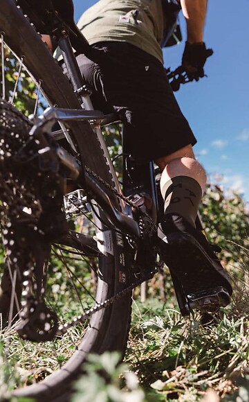 Wine tour in South Tyrol with the E-MTB